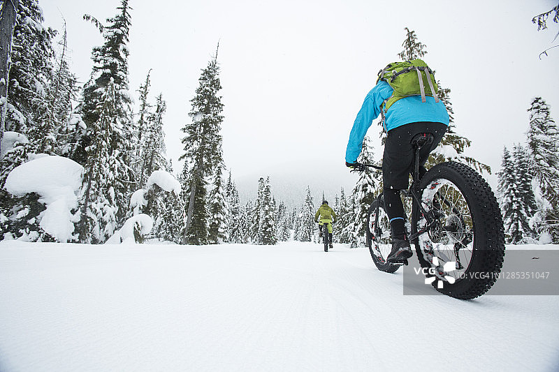 朋友们在加拿大惠斯勒的雪地里骑着胖胎自行车图片素材