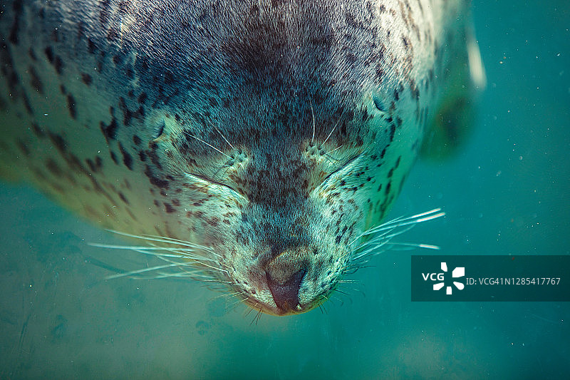 海陶器特写图片素材