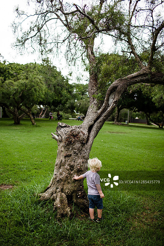 两岁幼儿在公园里触摸树木图片素材