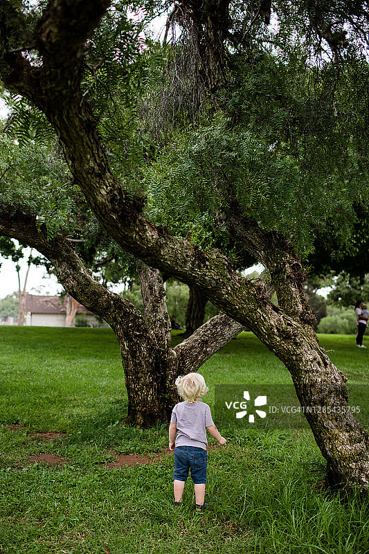 两岁小孩抬头看树图片素材
