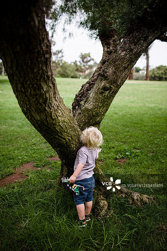 躲在树后的两岁小孩图片素材
