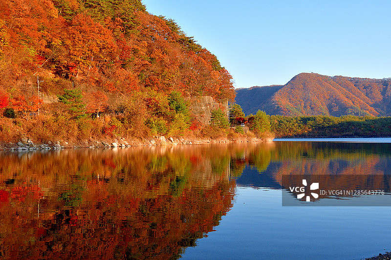 富士五湖之西湖的秋叶颜色图片素材