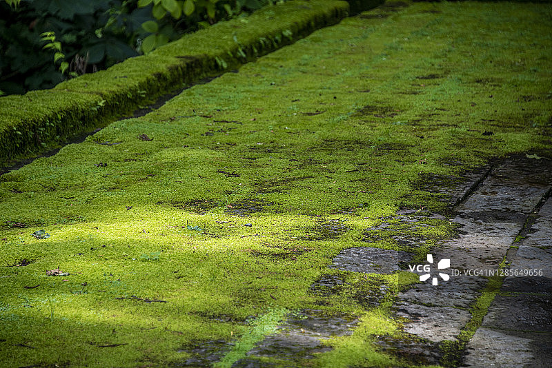 日本日光路面长满苔藓的老旧鹅卵石图片素材