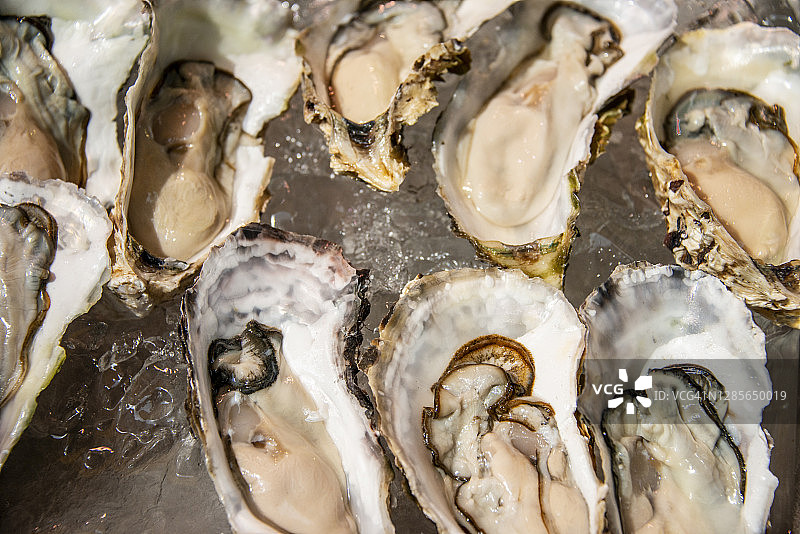 日本东京筑地鱼市的海鲜选择图片素材