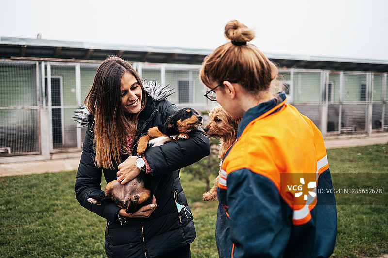 年轻女人和工作人员在收容所选择要领养的狗图片素材