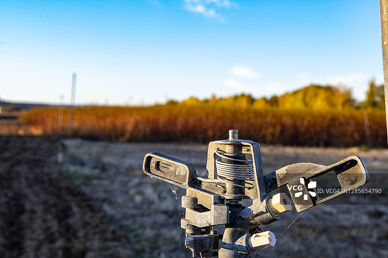 柳条背景上日落时分的喷灌系统图片素材