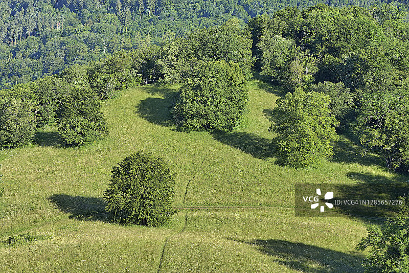 夏季草甸和森林的鸟瞰图，位于德国巴登-符腾堡州黑欣根士瓦本汝拉山图片素材
