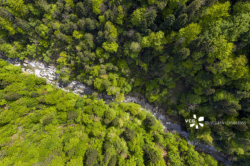 森林中的河流鸟瞰图片素材