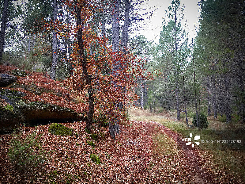 深秋河流景观图片素材