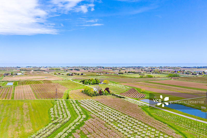 加拿大安大略省尼亚加拉瀑布地区的春季农场和果园图片素材