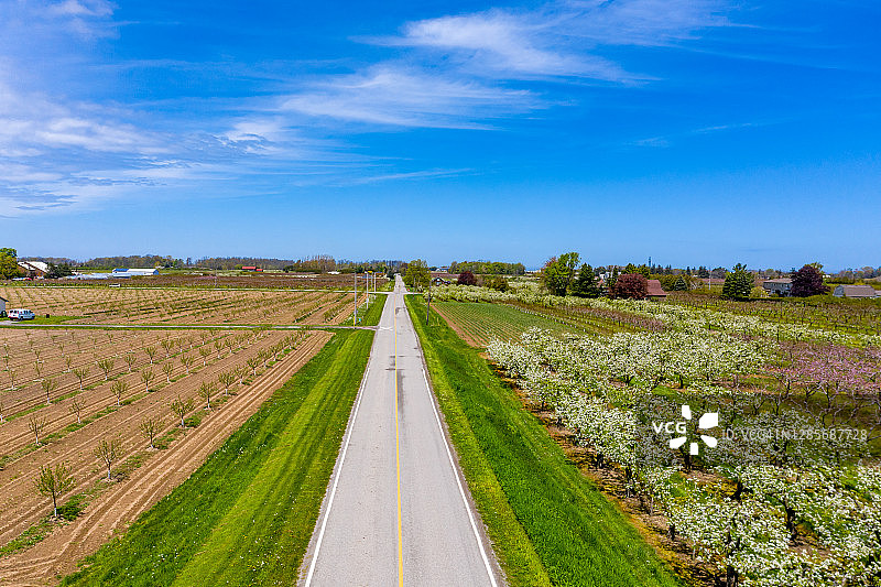 加拿大安大略省尼亚加拉瀑布地区的春季农场和果园图片素材