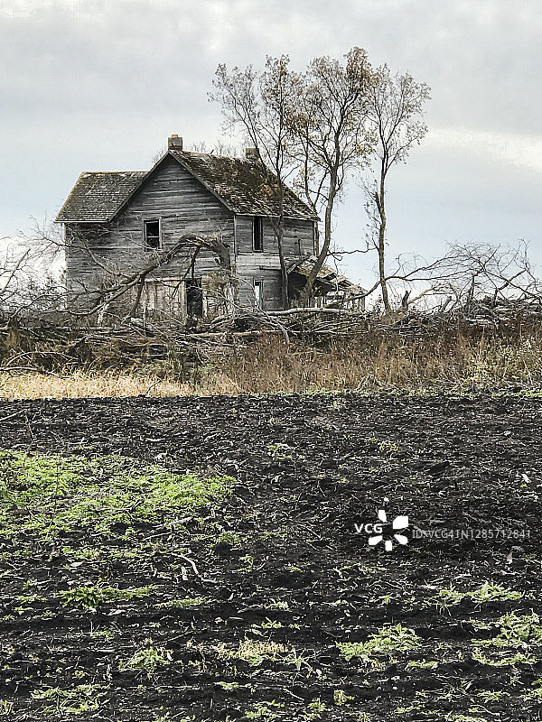 树木被砍伐的废弃农场场景图片素材