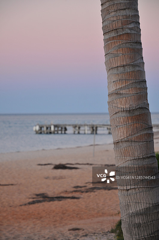 猴子米亚海滩图片素材