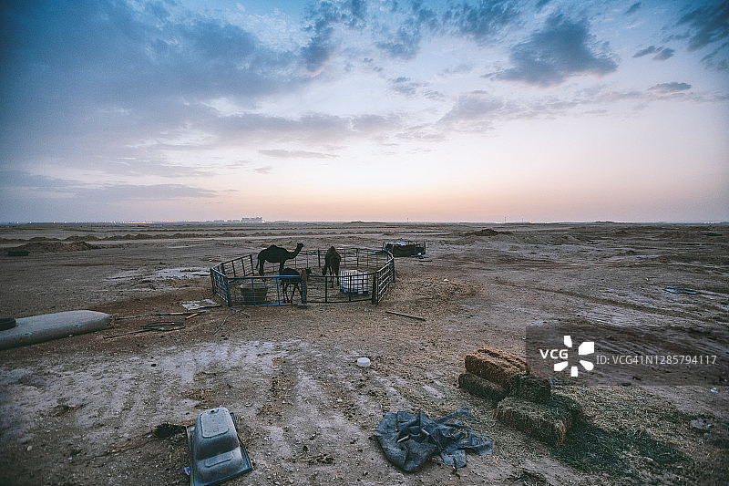 干草堆图片素材