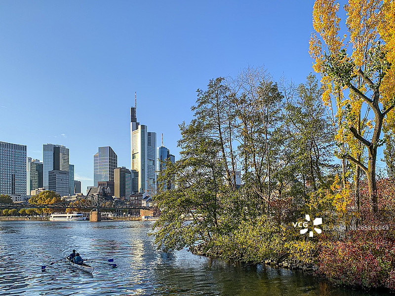 秋季法兰克福天际线和美因河岛图片素材