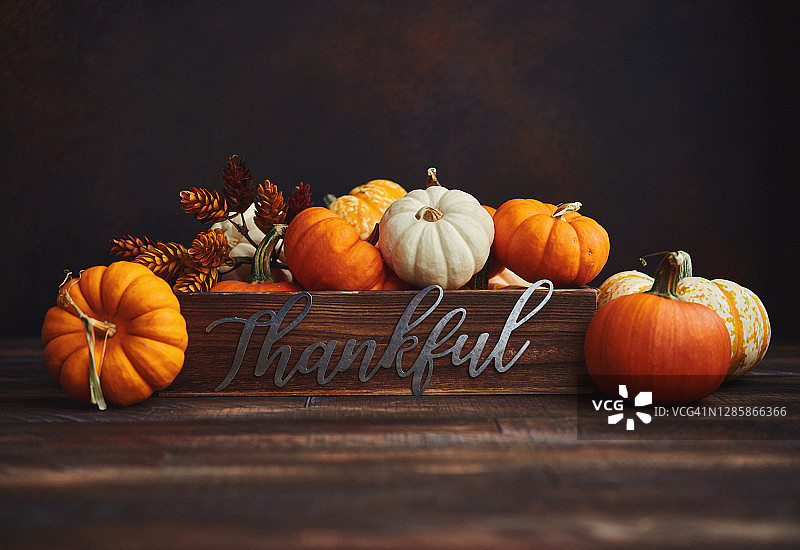 带有感恩信息的南瓜合集，感恩节秋季背景图片素材