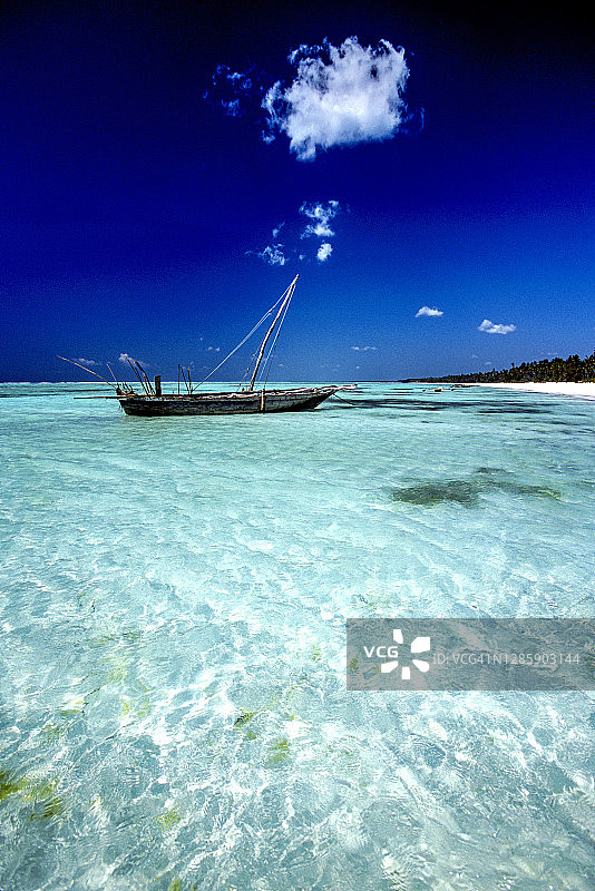 桑给巴尔马坦维海滩图片素材