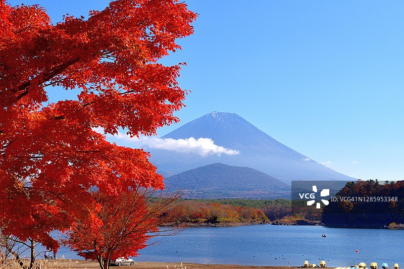 富士五湖之精进湖的秋叶图片素材