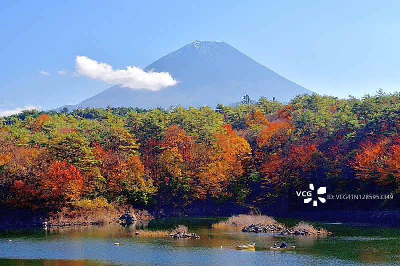 富士五湖之精进湖的秋叶图片素材
