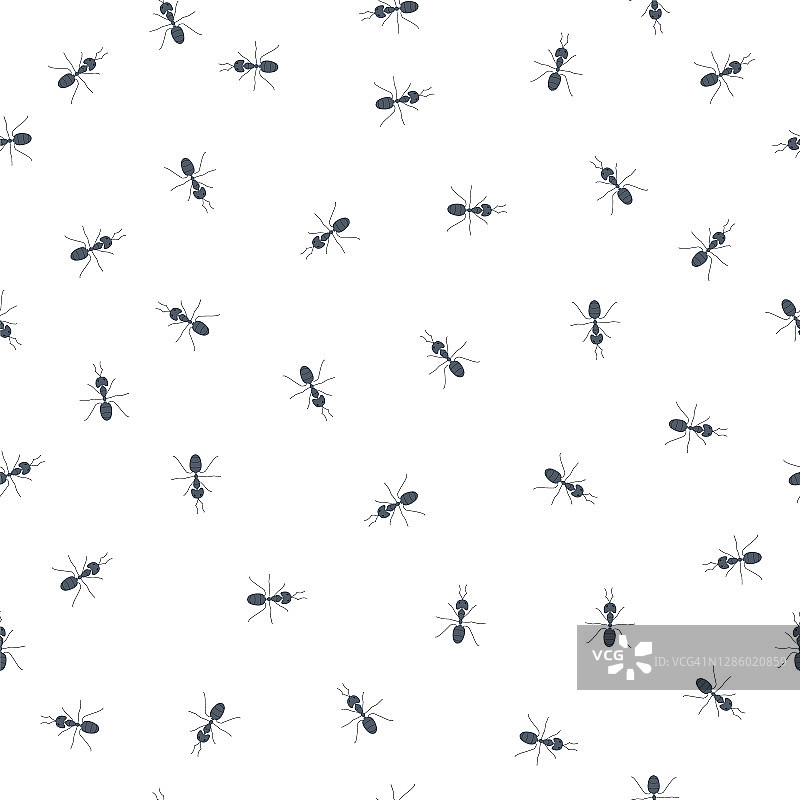 蚂蚁，插画图片素材