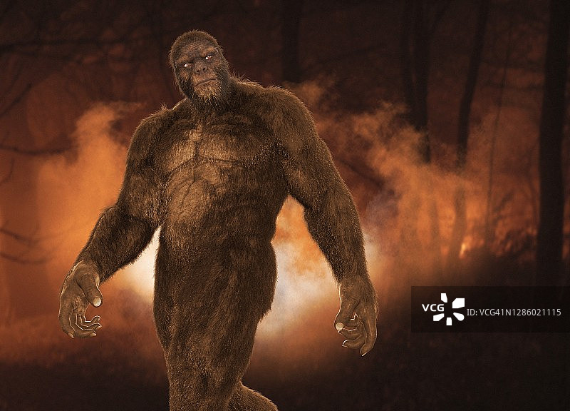 大脚怪插画图片素材