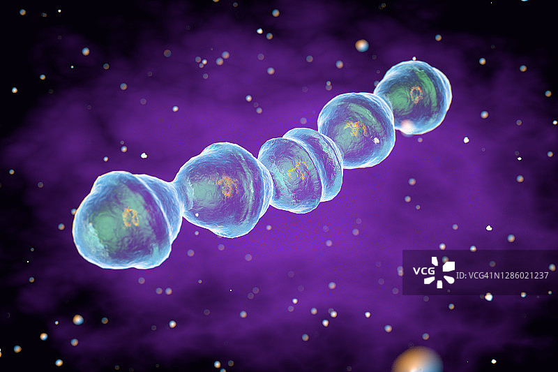 肺炎葡萄球菌细菌，图示图片素材