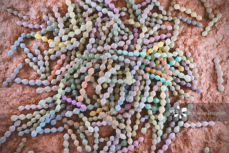 肺炎葡萄球菌细菌，图示图片素材