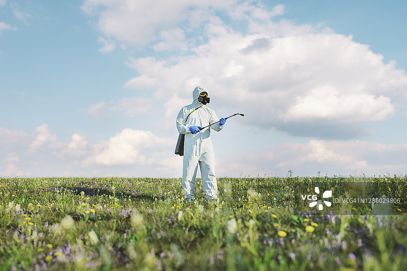 幽默的野生植物消毒图片素材