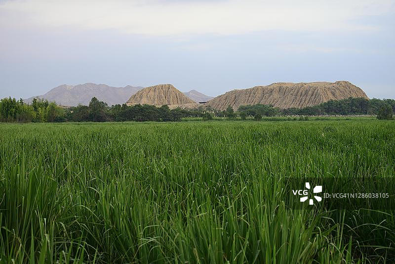 华卡拉哈达前的甘蔗田，泥砖金字塔，奇克拉约附近的莫切文化遗址，秘鲁兰巴耶克地区图片素材