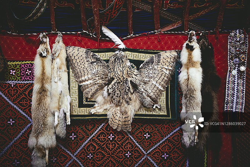 猎鹰人巴沙汗·斯派的战利品：狐狸、狸和猫头鹰，他在蒙古国乌列盖的集市上出售狐狸皮，并将猫头鹰作为装饰品放在他的蒙古包里图片素材