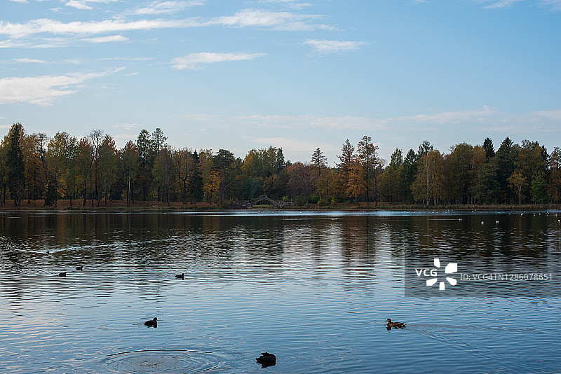 阳光明媚的湖边图片素材