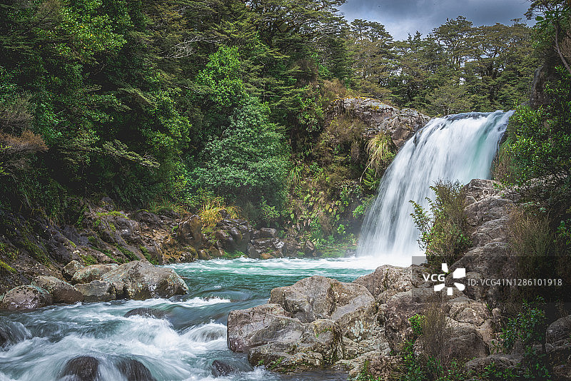 汤加里罗国家公园的陶怀瀑布（咕噜泳池）图片素材