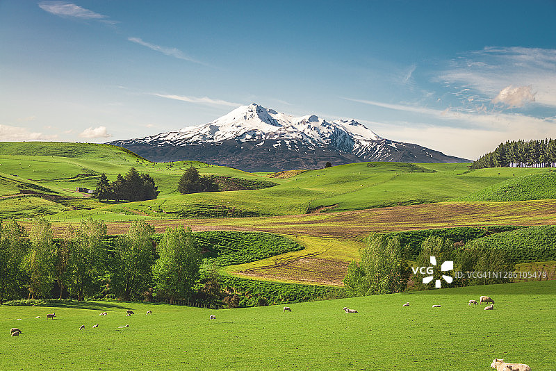 鲁阿佩胡火山图片素材