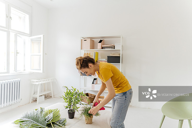 我的新居室采用绿色主题图片素材