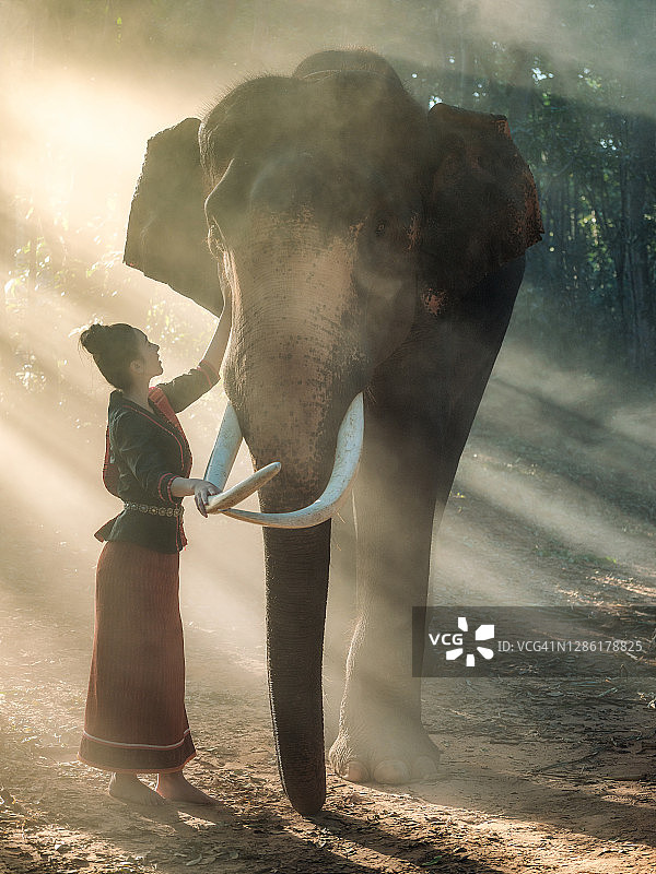 美丽的泰国女子身着当地民族服饰，在泰国素林府乡村的丛林中与大象共度时光图片素材