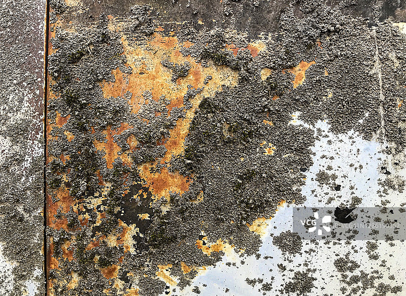 旧车门上的霉菌图片素材