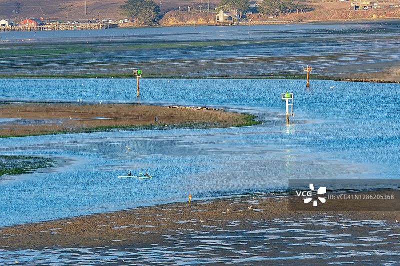 加利福尼亚州博德加湾的退潮图片素材