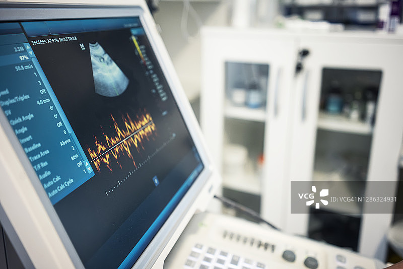 兽医进行超声波检查图片素材