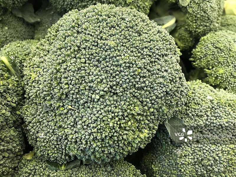 新鲜绿色西兰花图片素材