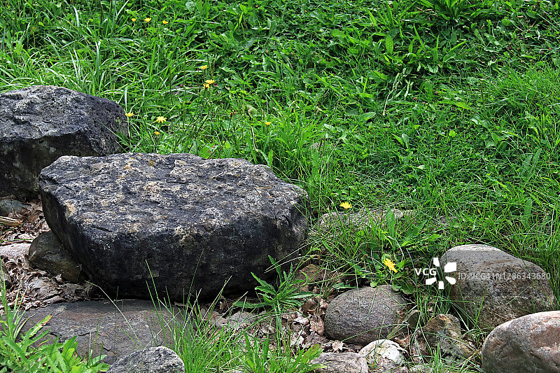 茂盛草地上的岩石和野花图片素材