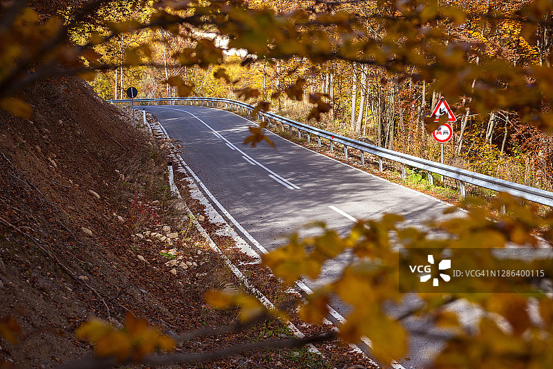 秋天的道路图片素材