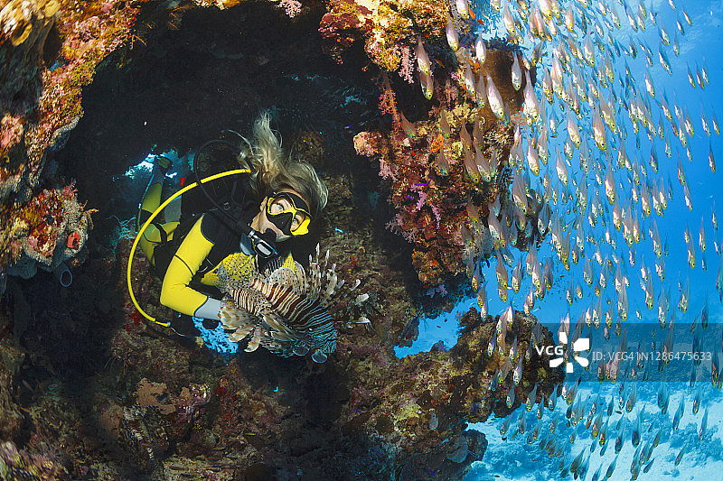 水下狮子鱼和玻璃鱼，水下珊瑚礁，水肺潜水员视角。背景中是女性水肺潜水员。图片素材