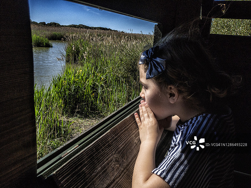 女孩在意大利观察楼观赏野生动物图片素材