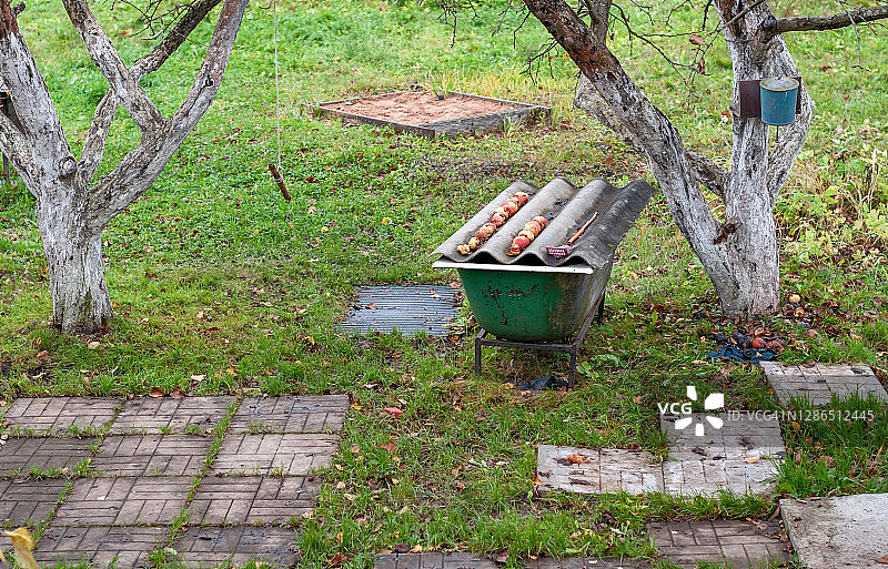 乡村风景 - 掉落的苹果成排堆放图片素材