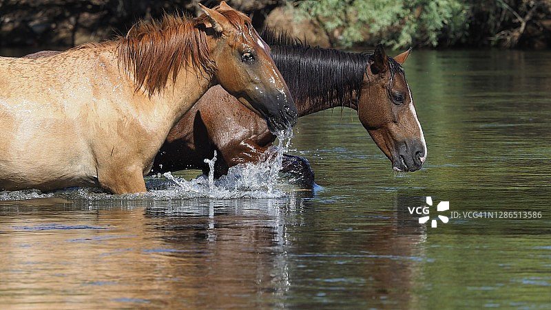潮湿与干燥图片素材