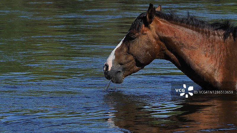 我最好的一面图片素材
