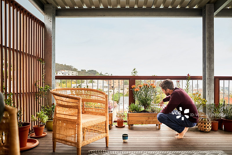 浇灌阳台植物图片素材