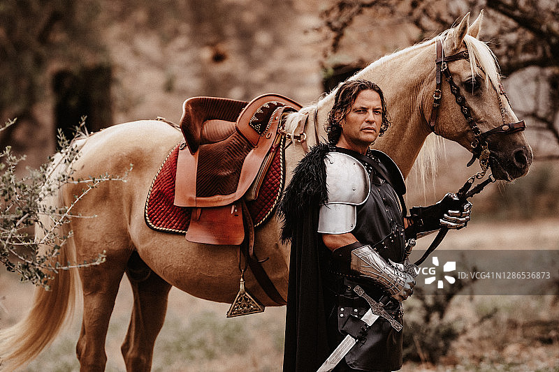 中世纪奇幻骑士与帕洛米诺马，立于古老石墙前图片素材