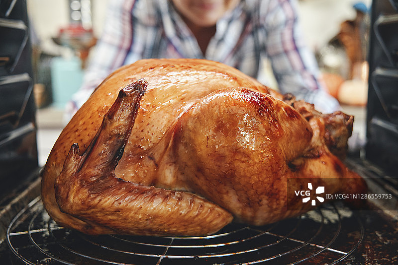 烤箱烤火鸡（节日晚餐）图片素材