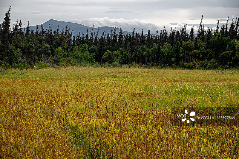 我将环游世界，收集美丽的图像图片素材
